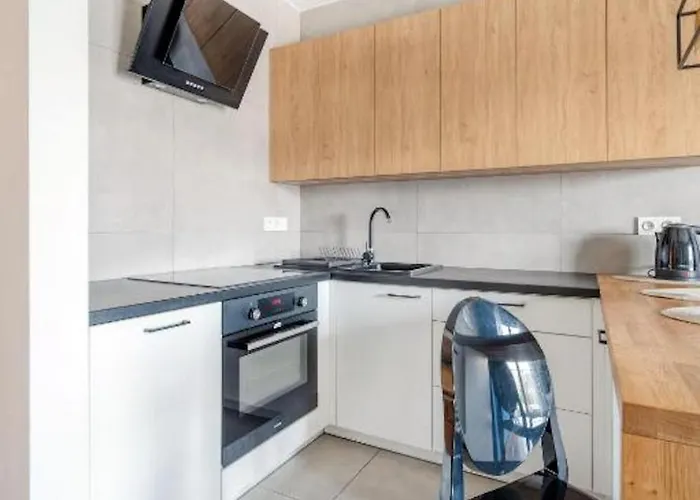 Urban Chic - One Bedroom - Gdanska Łódź