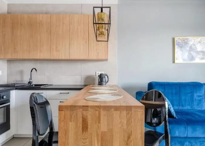 Urban Chic - One Bedroom - Gdanska * Łódź